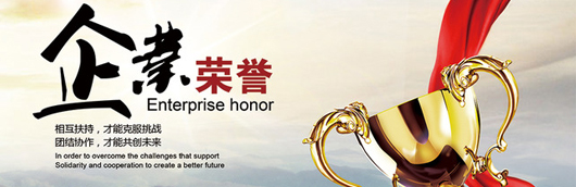 bevictor伟德荣誉